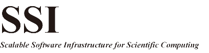 Scalable Software Infrastructure Project Logo